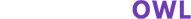 PhantomOwl Digital Logo